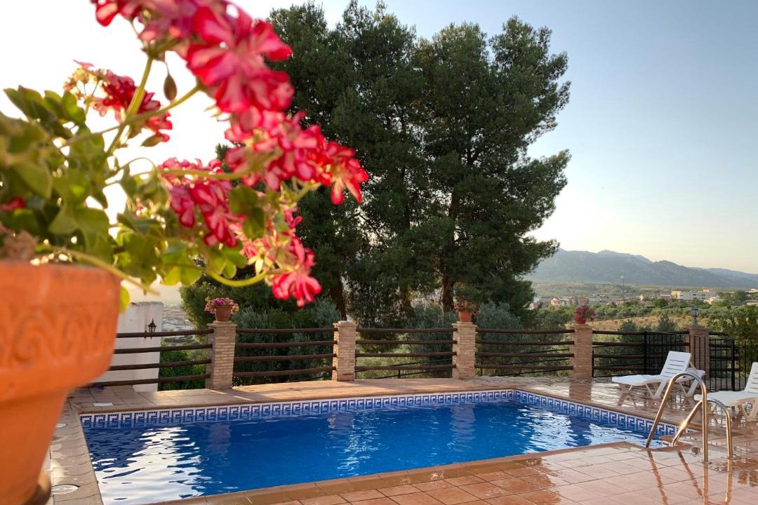 Photo of Outdoor in Pozo Alcon