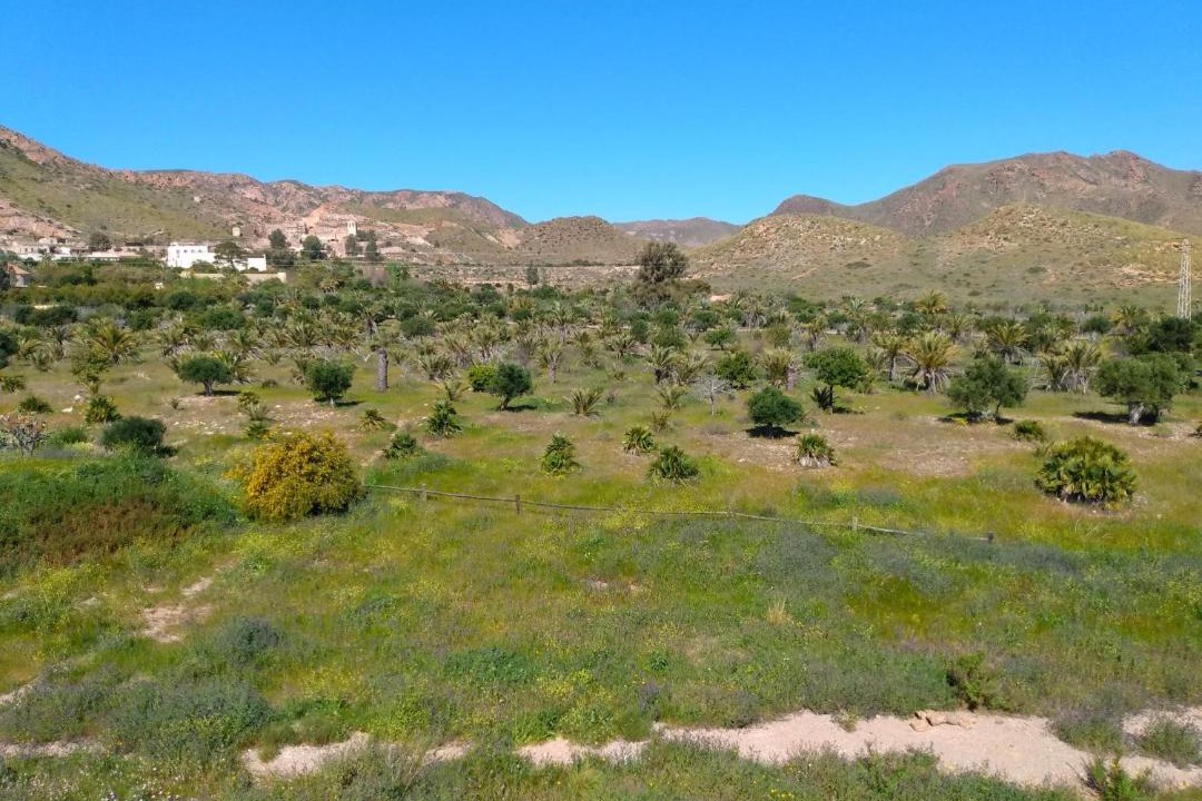 Photo of Outdoor in Rodalquilar