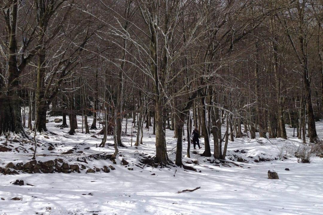 Photo of Others in Gualba