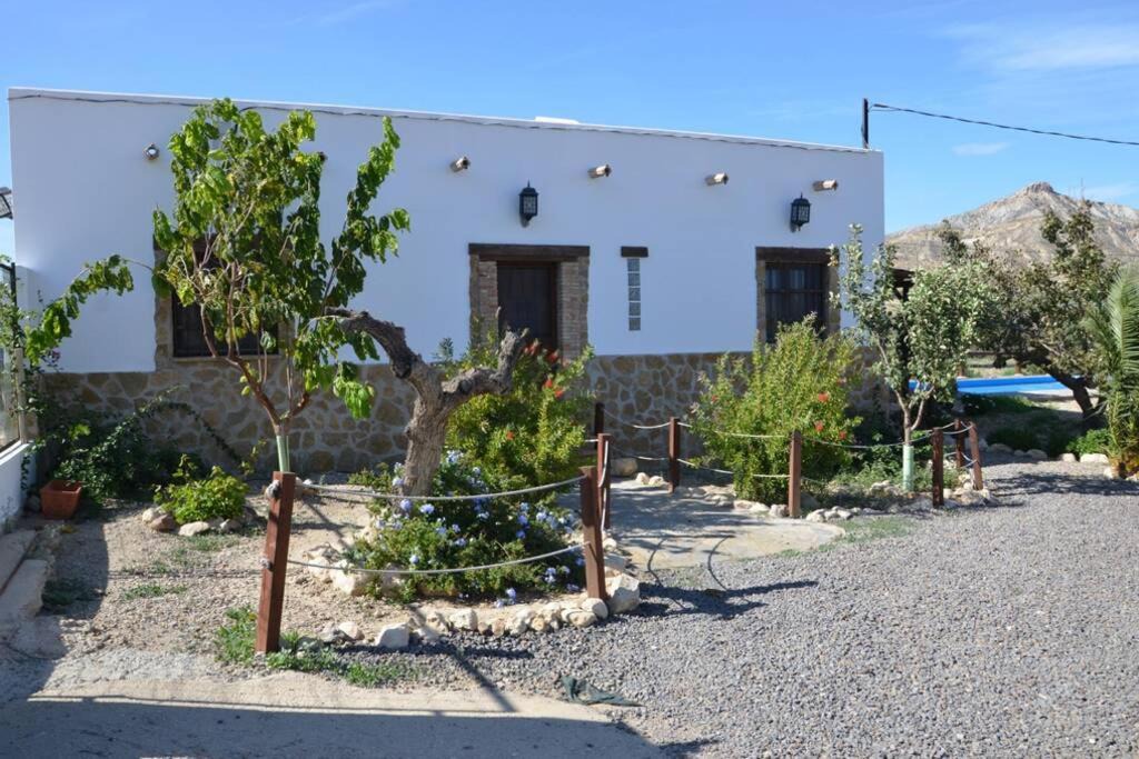 Photo of Others in Sorbas