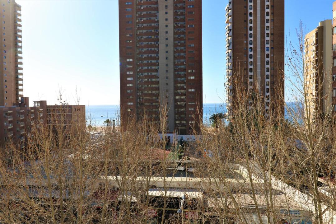 Photo of Others in Benidorm