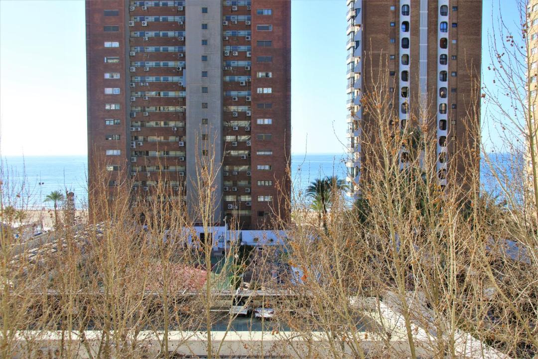 Photo of Buildings in Benidorm