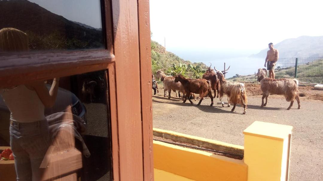Photo of Patio Balcony in Garafia