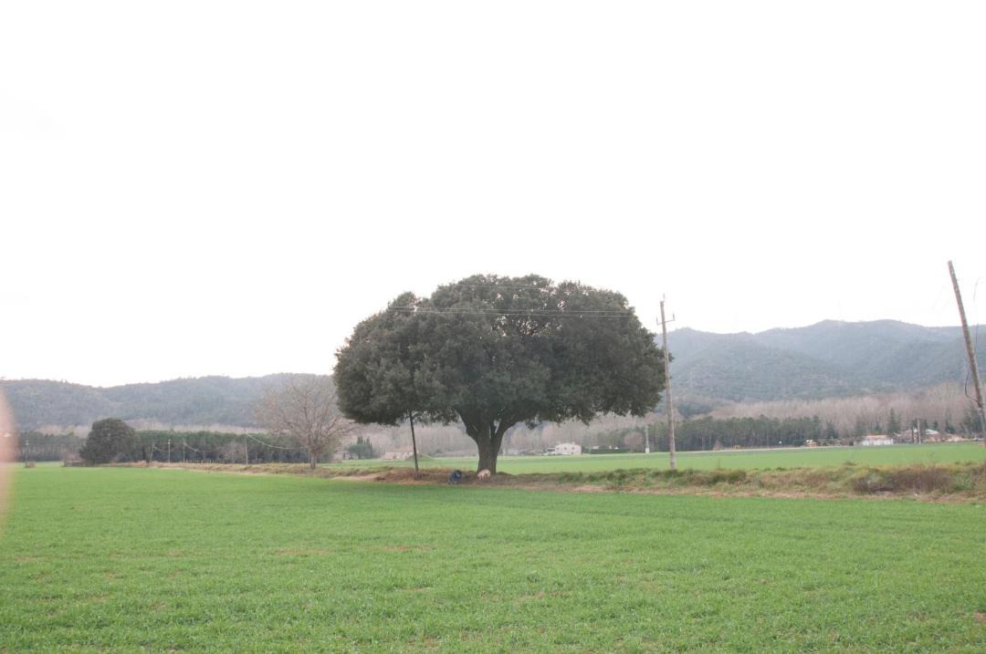 Photo of Others in Sant Gregori