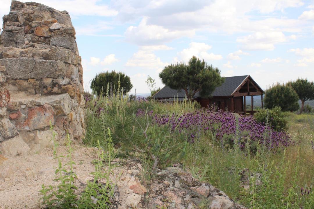 Photo of Others in Valdemorillo