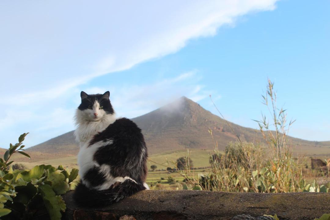 Photo of Others in Rodalquilar