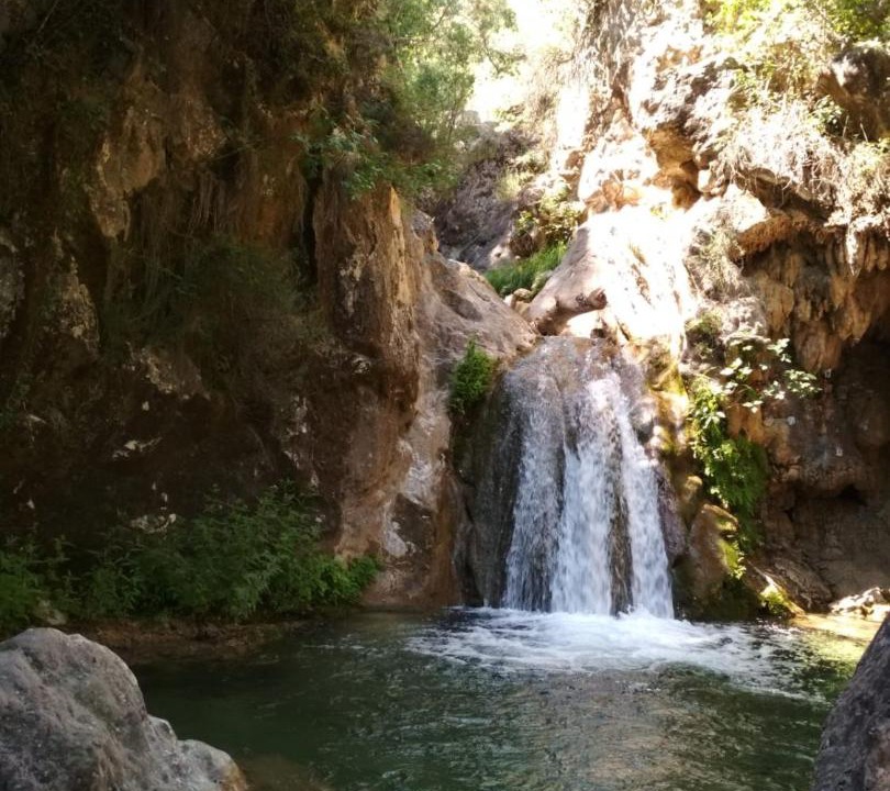 Photo of Others in Coto Rios
