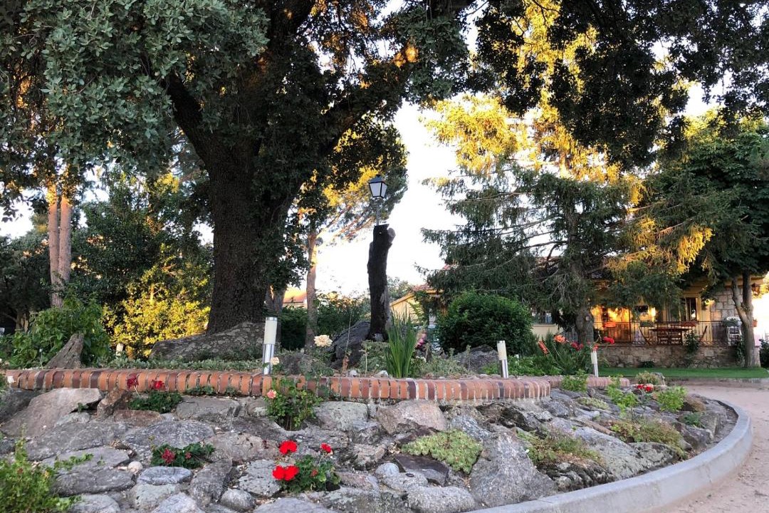 Photo of Others in Ortigosa del Monte