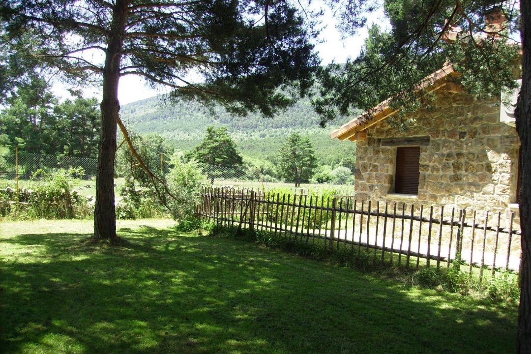 Photo of Others in Vinuesa