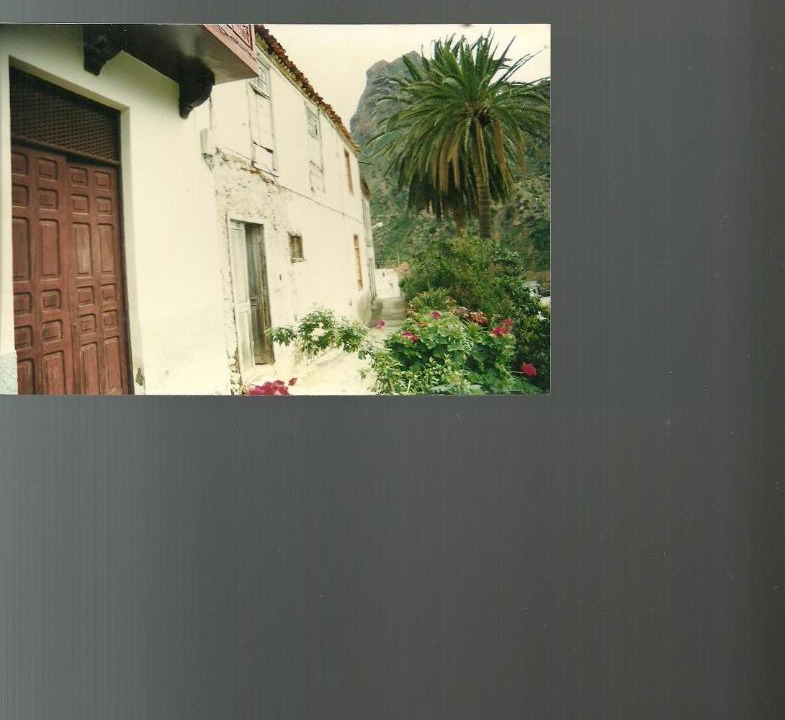 Photo of Others in Vallehermoso