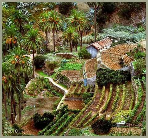 Photo of Others in Vallehermoso