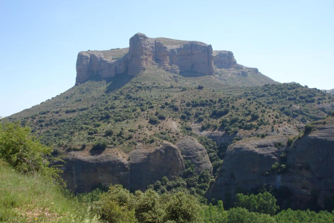 Photo of Others in Panzares