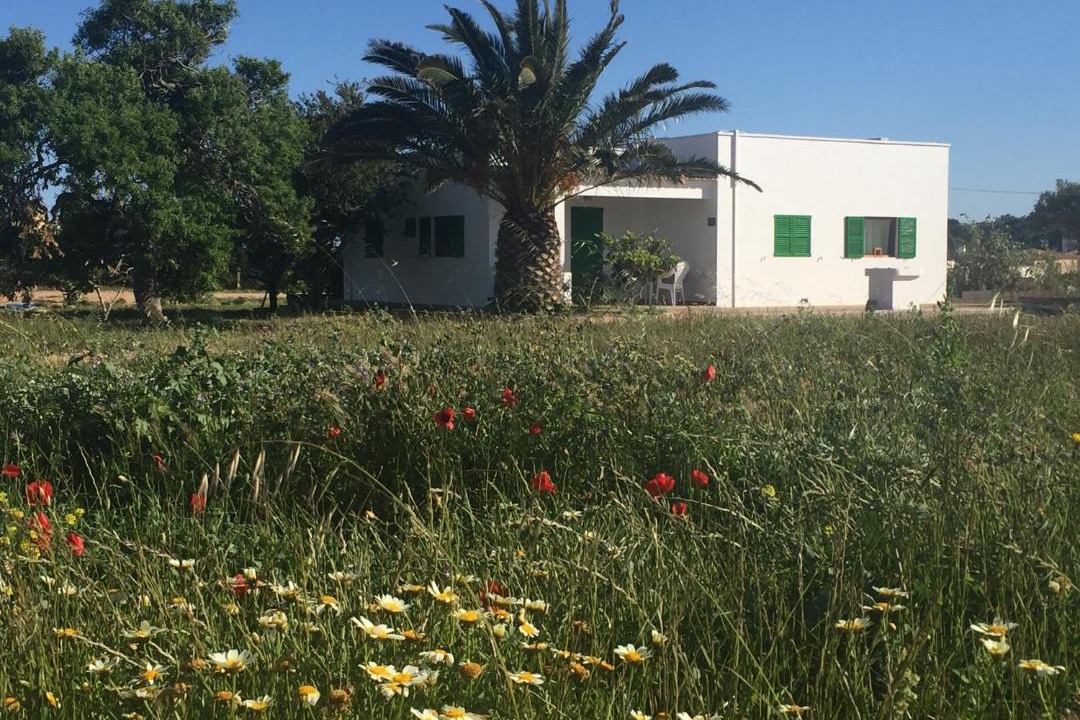 Photo of Others in Sant Francesc Xavier