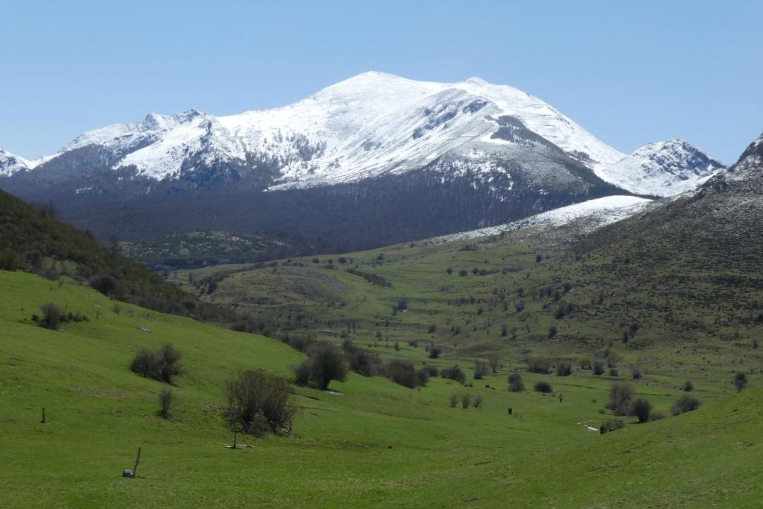 Photo of Others in Acebedo