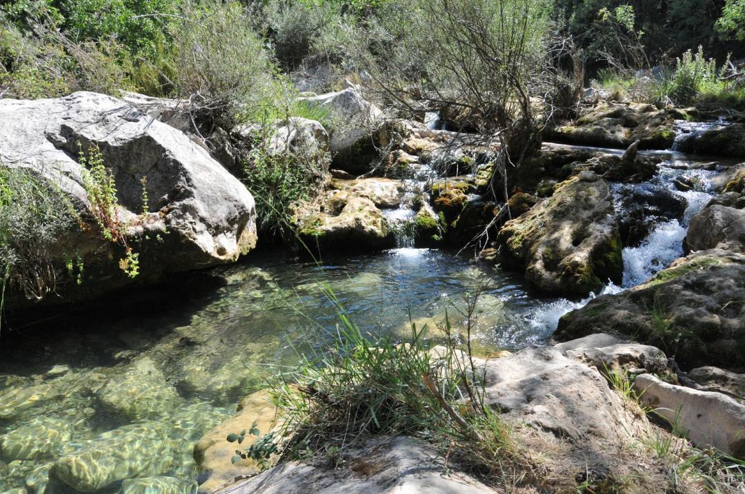 Photo of Others in Arroyo Frio