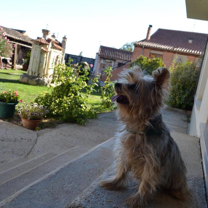 Photo of Others in Poblacion de Campos