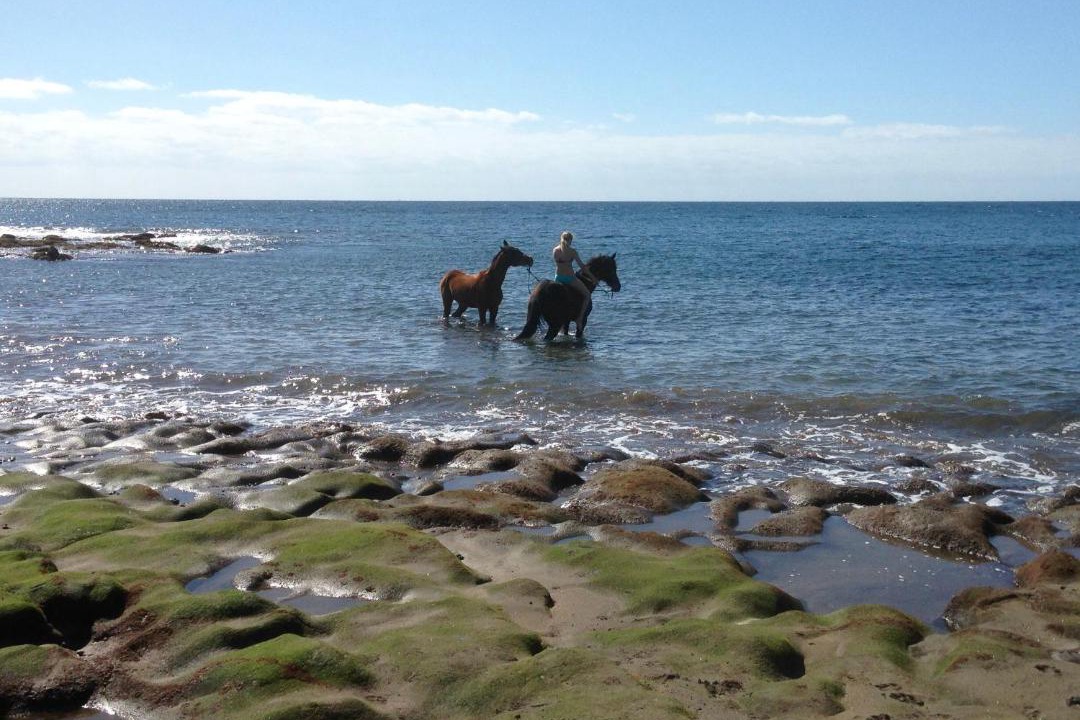 Photo of Outdoor in Los Gavilanes