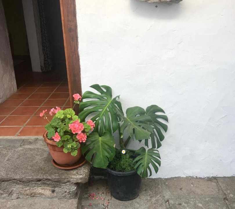 Photo of Others in Los Gavilanes