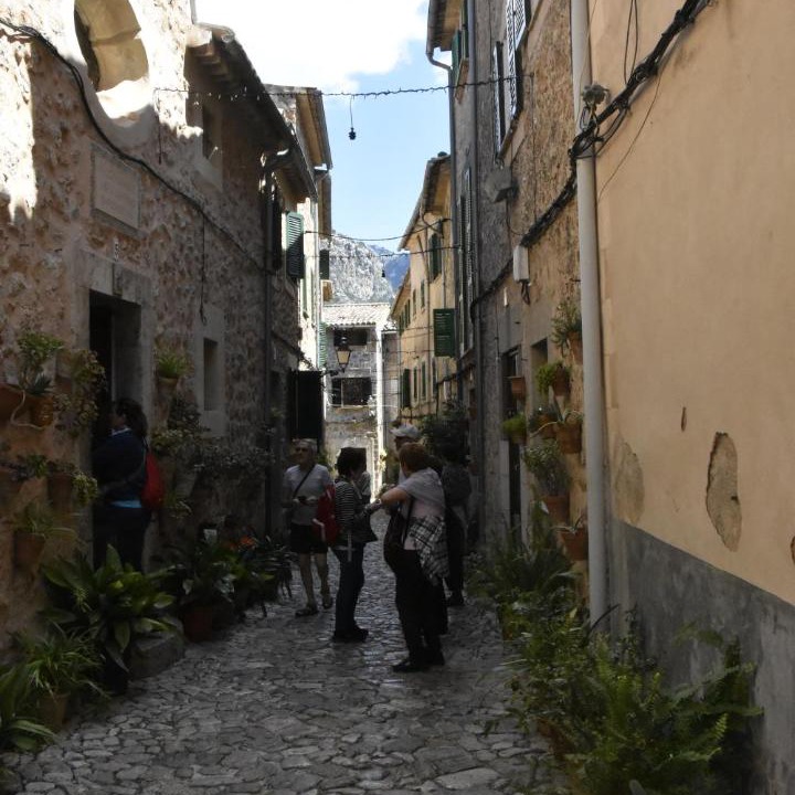 Photo of Buildings in S'Arxiduc