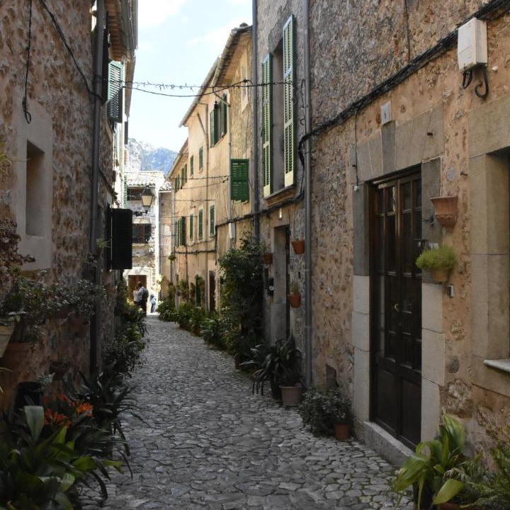 Photo of Buildings in S'Arxiduc