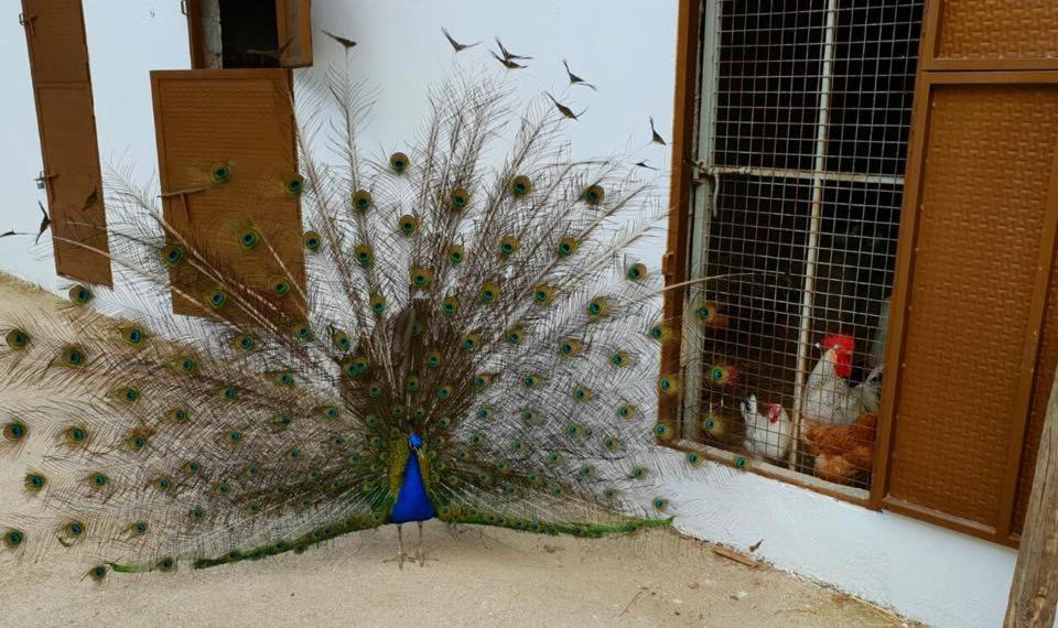 Photo of Others in La Iruela