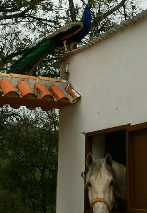 Photo of Others in La Iruela