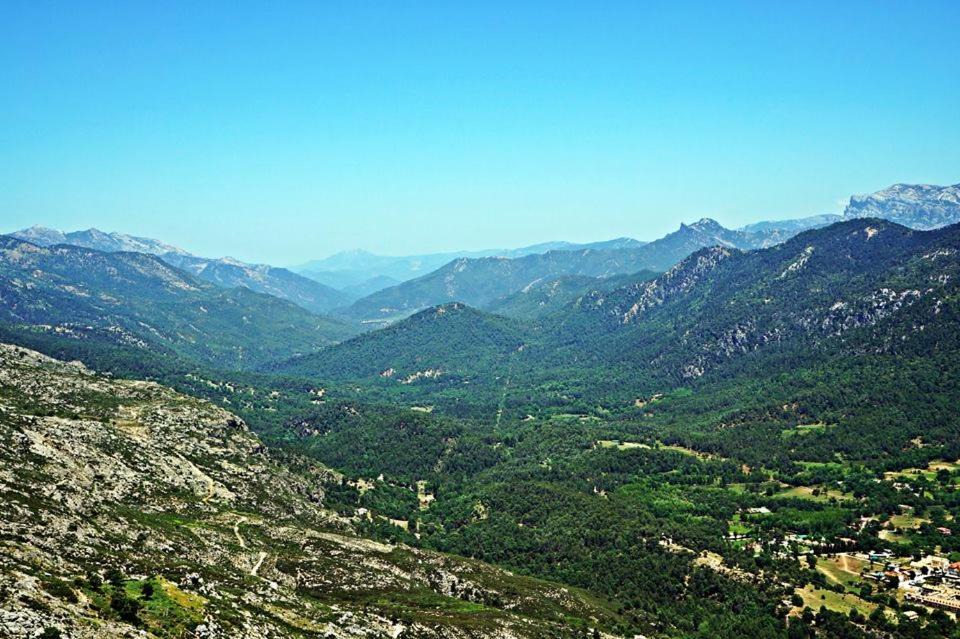 Photo of Others in La Iruela