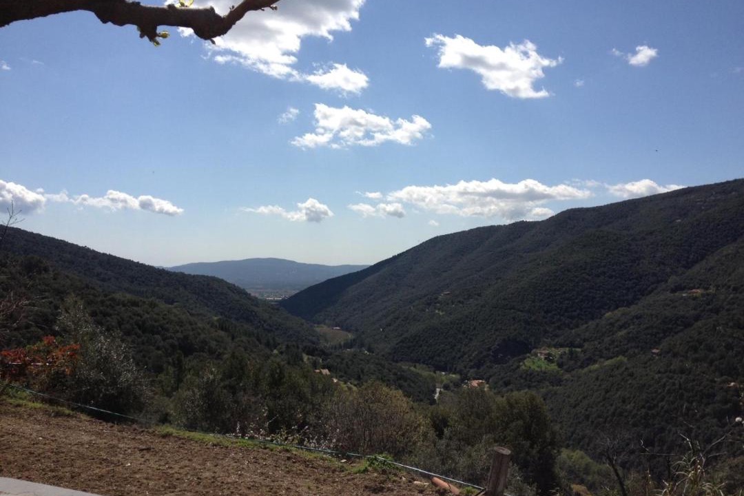 Photo of Others in Montseny