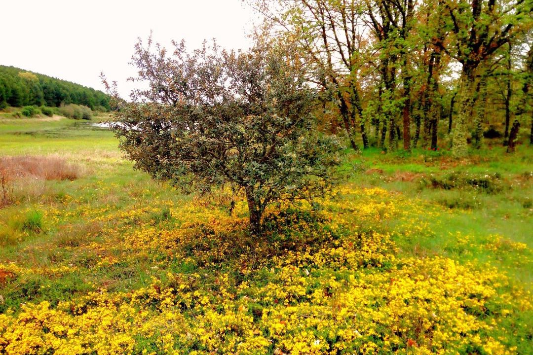 Photo of Others in Villamejil