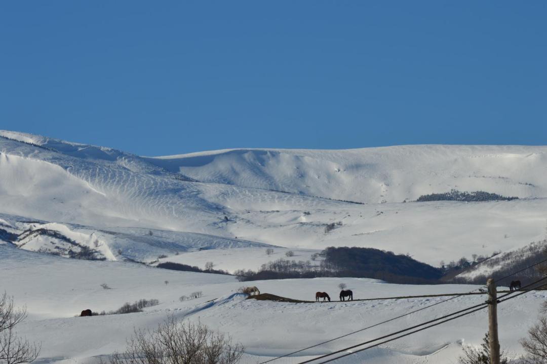 Photo of Others in Fontibre