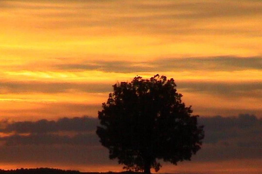 Photo of Outdoor in Herreros