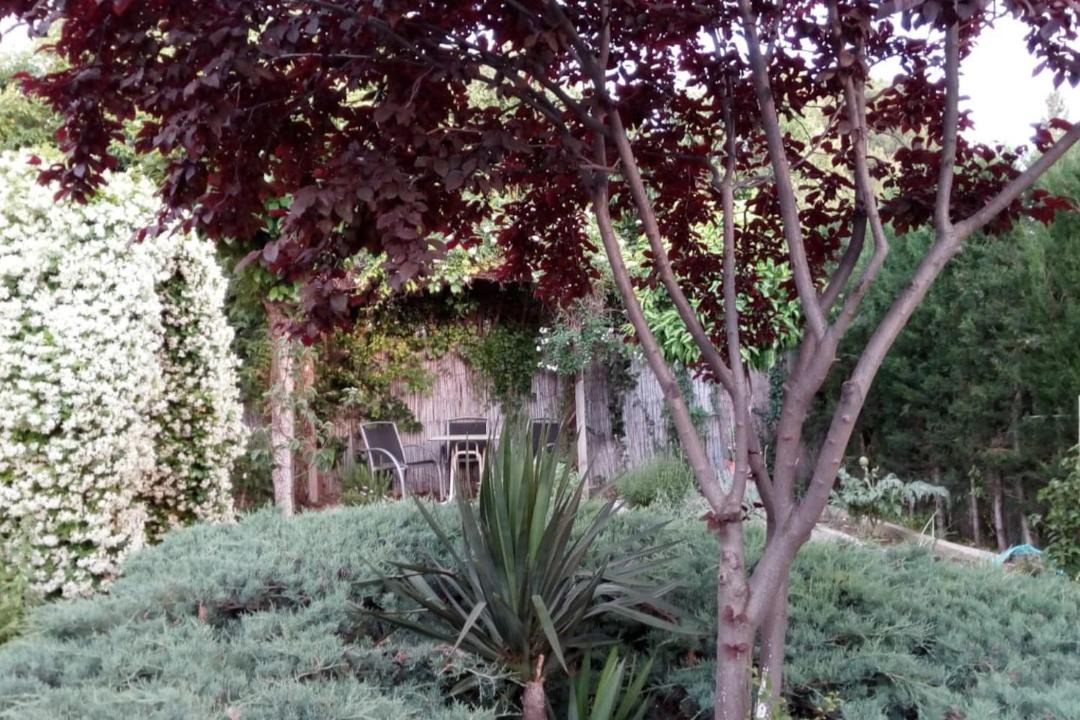 Photo of Outdoor in La Guardia de Jaen