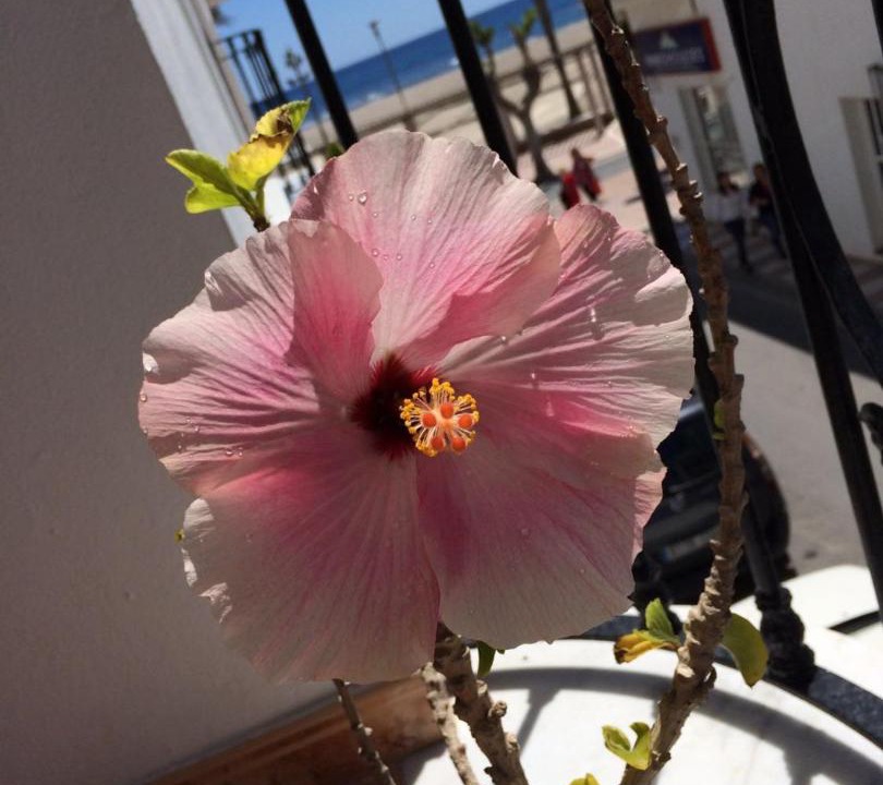 Photo of Others in Carboneras