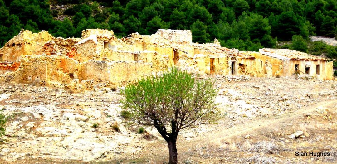 Photo of Buildings in El Berro