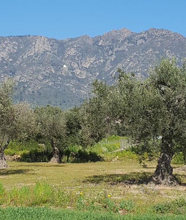 Photo of Outdoor in Pau