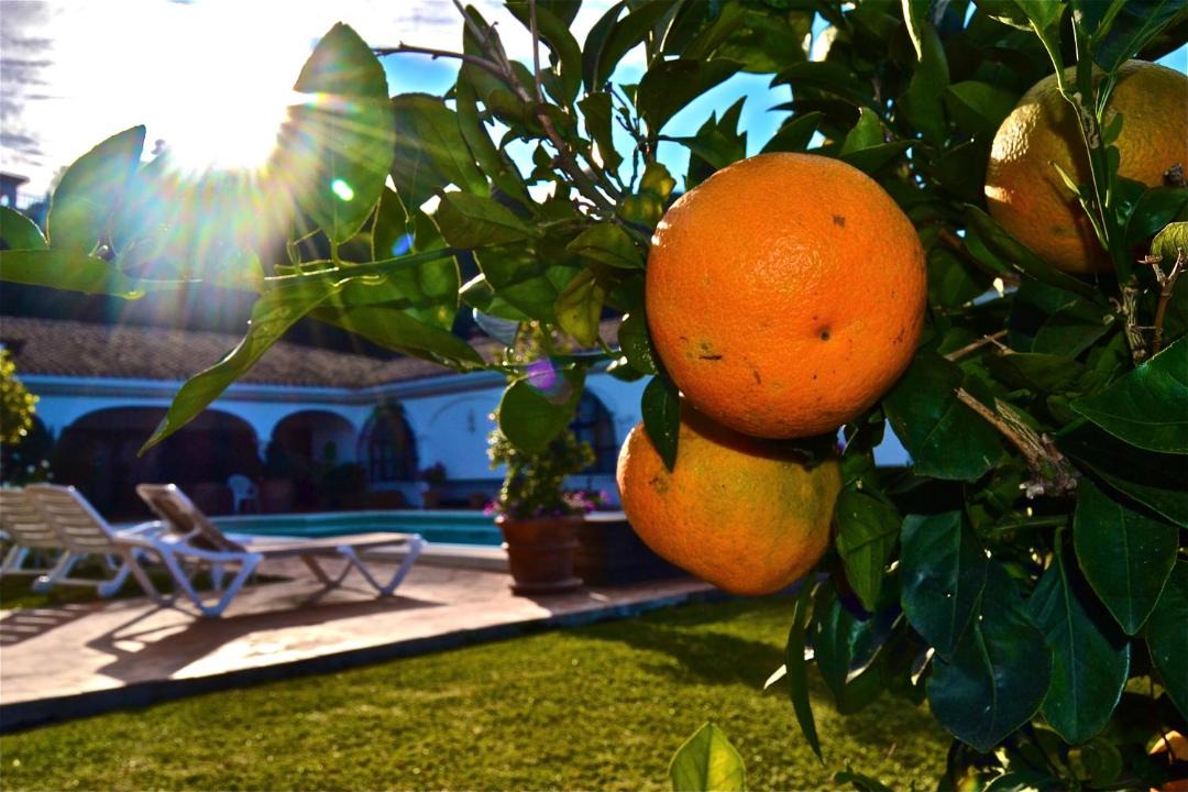 Photo of Others in El Paraiso
