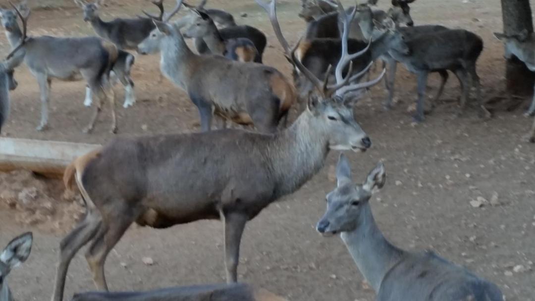 Photo of Others in Arroyo Frio