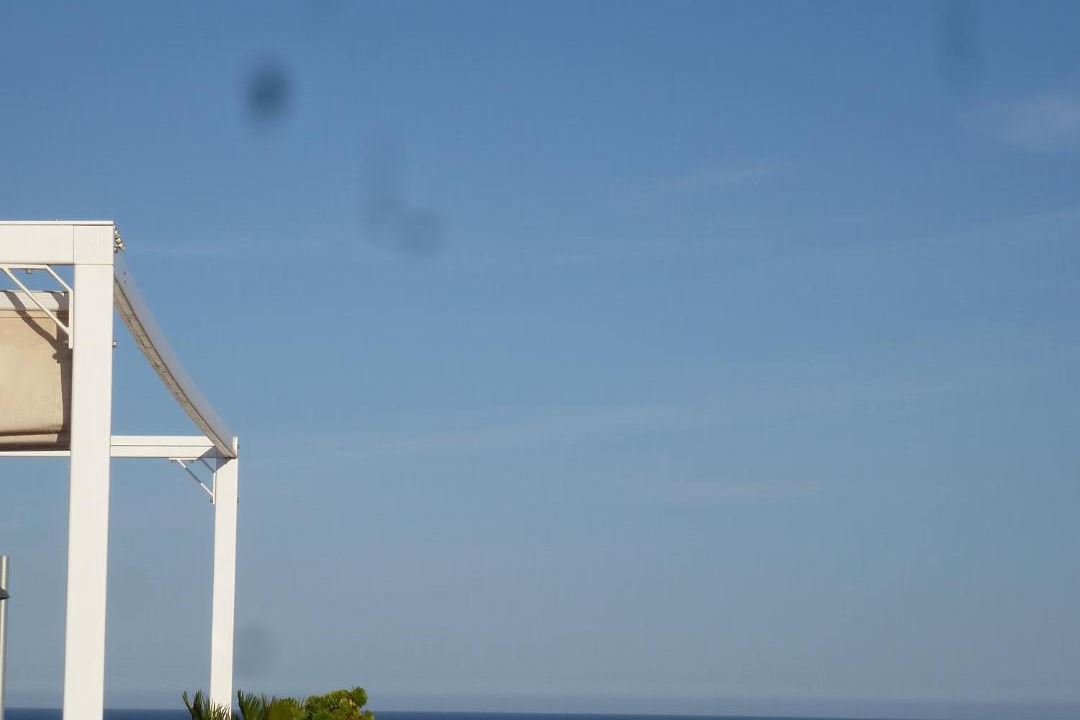 Photo of Others in Mar de Pulpi