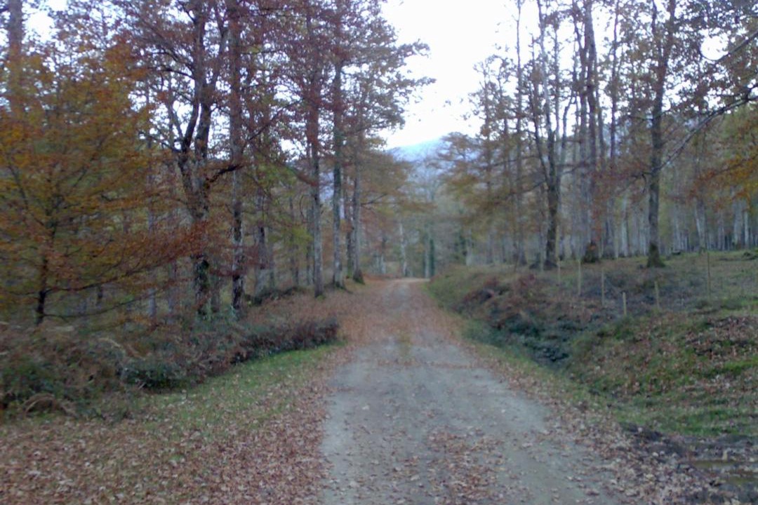 Photo of Others in Molledo