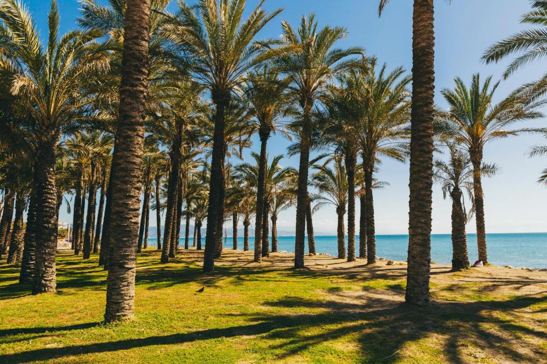 Photo of Others in Torremolinos City Centre