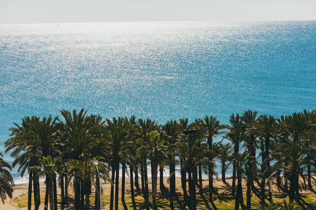 Photo of Outdoor in Torremolinos City Centre