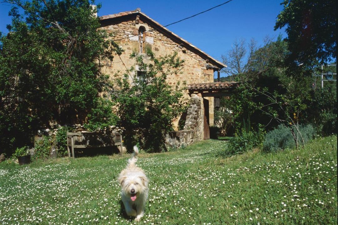 Photo of Others in Valle de Manzanedo