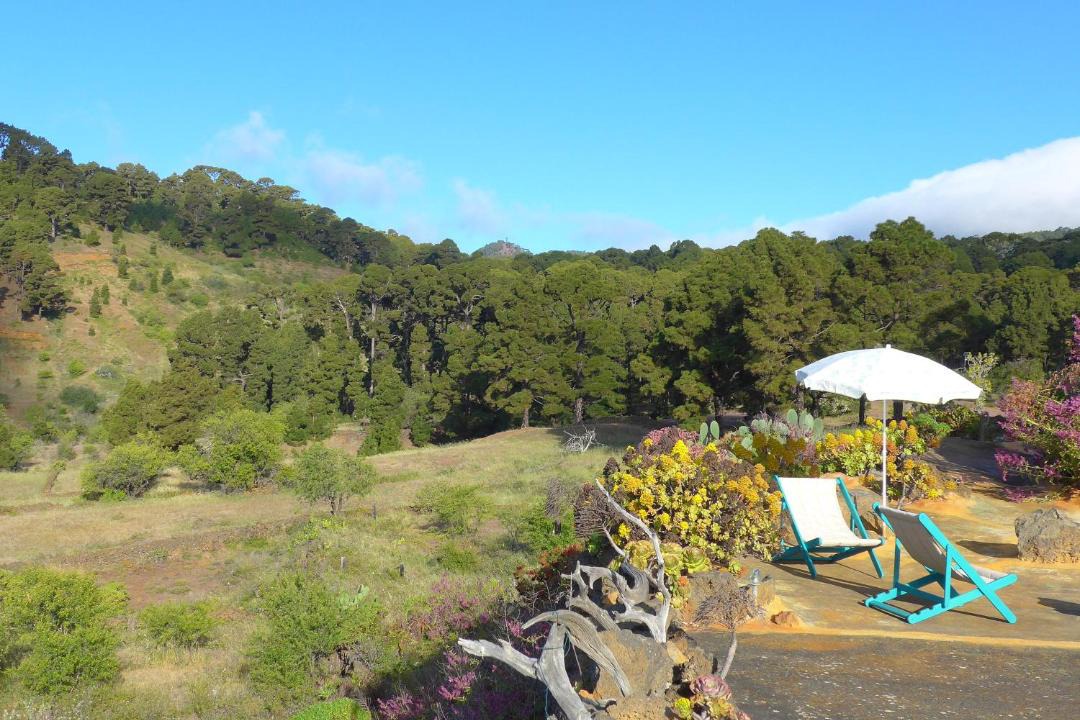 Photo of Others in El Pinar de El Hierro
