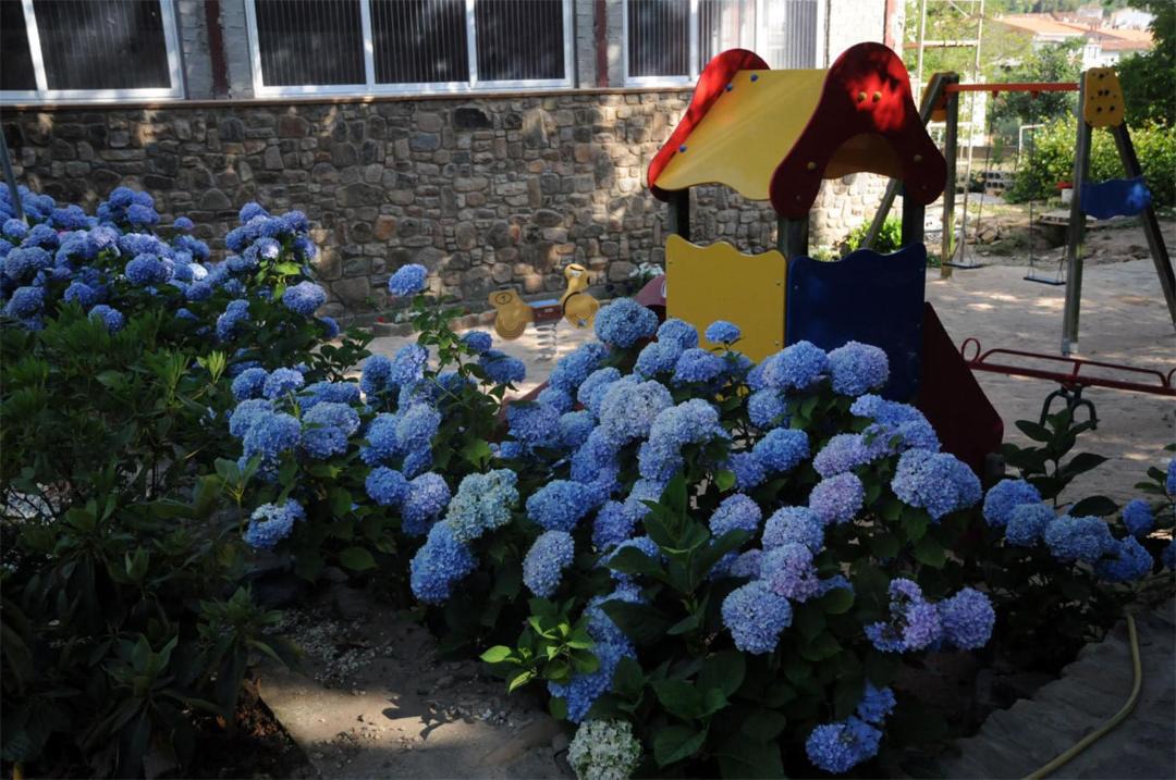 Photo of Outdoor in San Martin de la Virgen de Moncayo