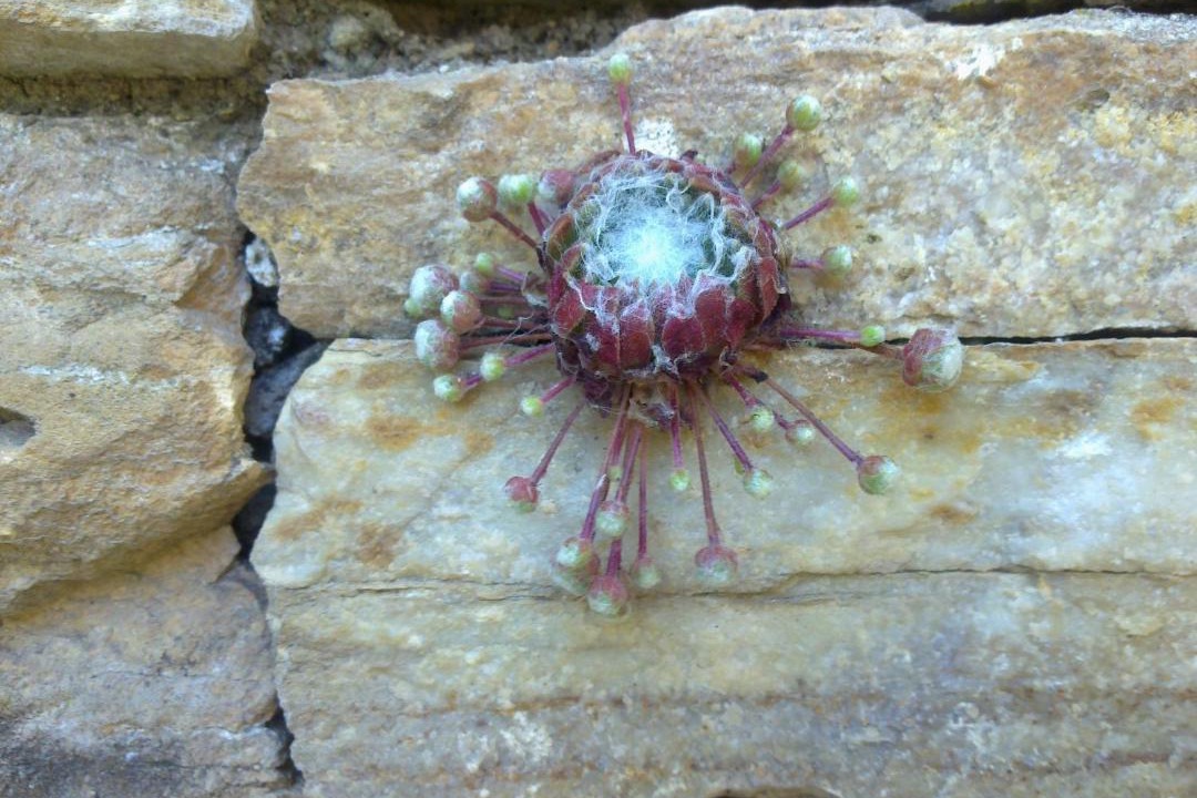 Photo of Outdoor in Villamartin de la Abadia