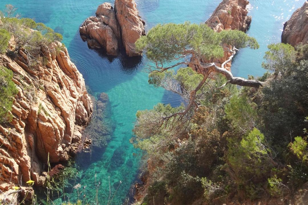 Photo of Outdoor in Calonge
