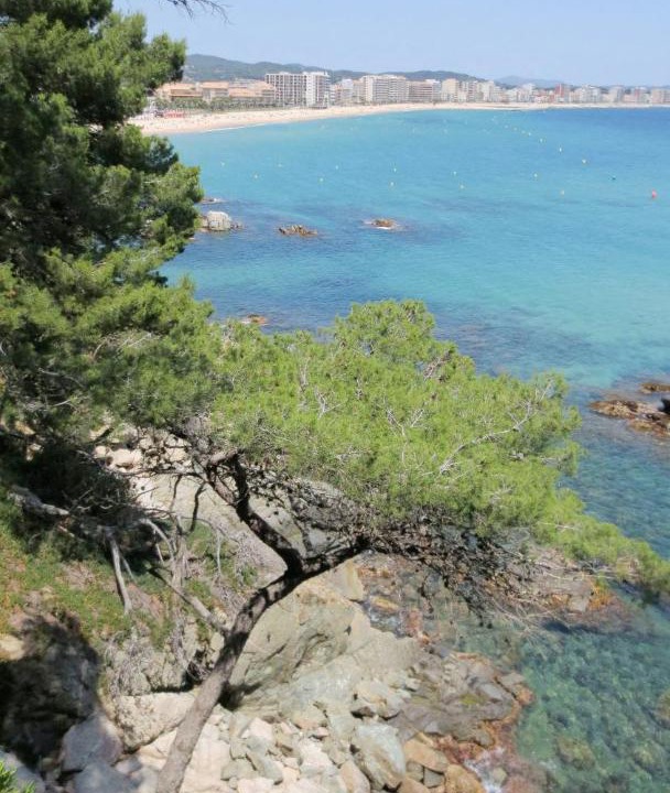 Photo of Outdoor in Calonge