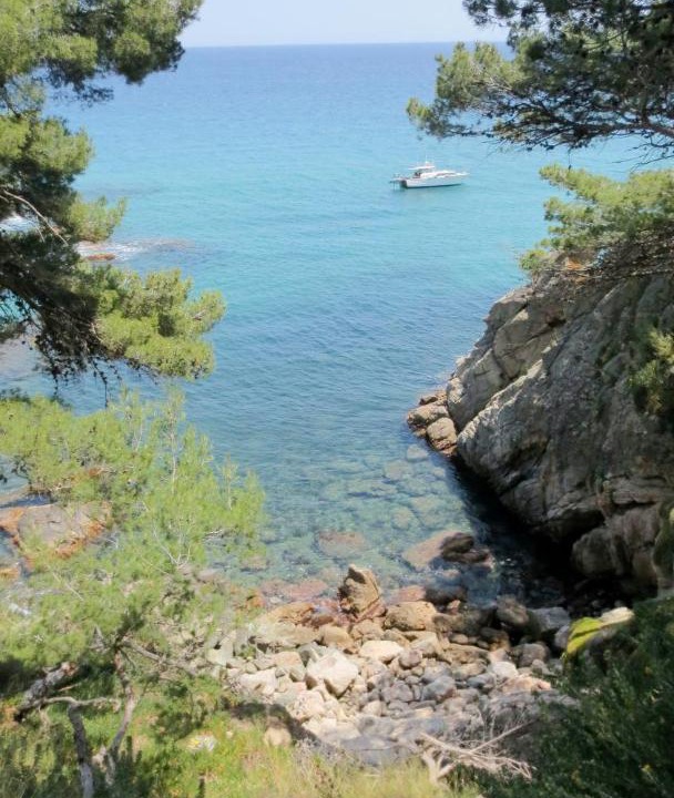 Photo of Outdoor in Calonge