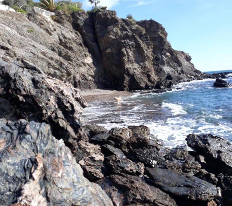Photo of Others in Calabardina