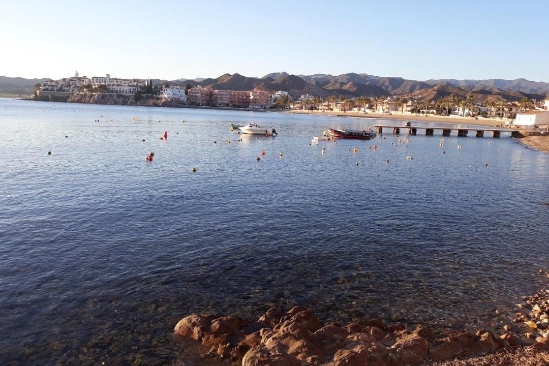 Photo of Others in Calabardina
